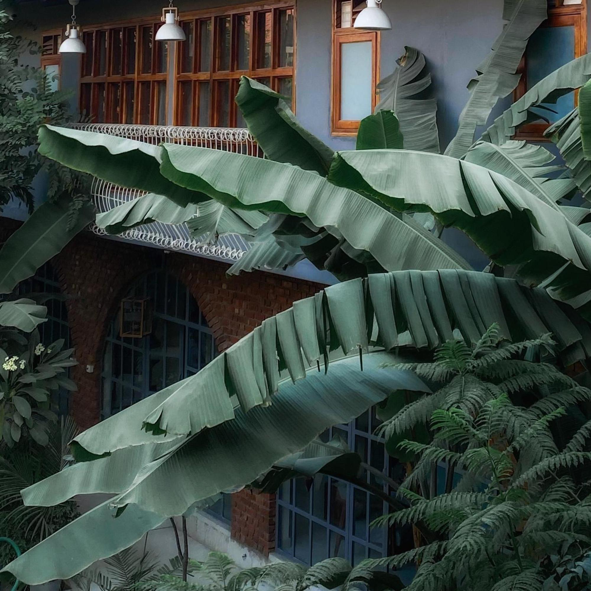 The Artist House Udaipur Hotel Exterior photo